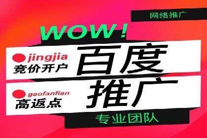 案例分析：百度推广优化，实现精准定位